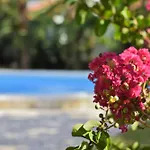 Marinela Appartement