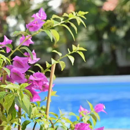 Apartament Marinela *