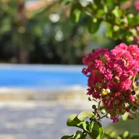 Marinela Apartment